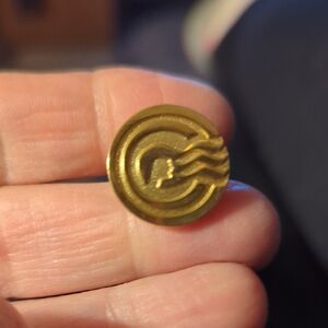 Princess Cruise Captains Circle Gold Tone Vintage Lapel Pin